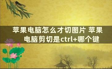 苹果电脑怎么才切图片 苹果电脑剪切是ctrl+哪个键